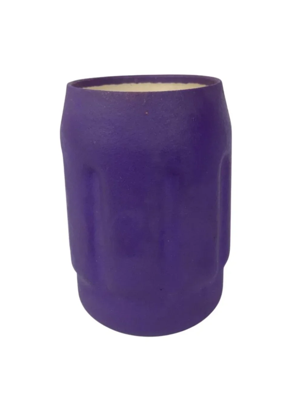Coleman Lantern Logo Insulated Purple Plastic Can Cooler Holder Picnic Camping